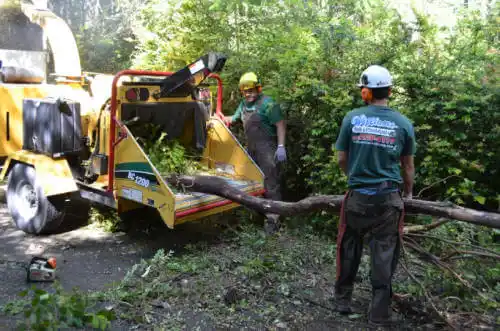 tree services Navarre